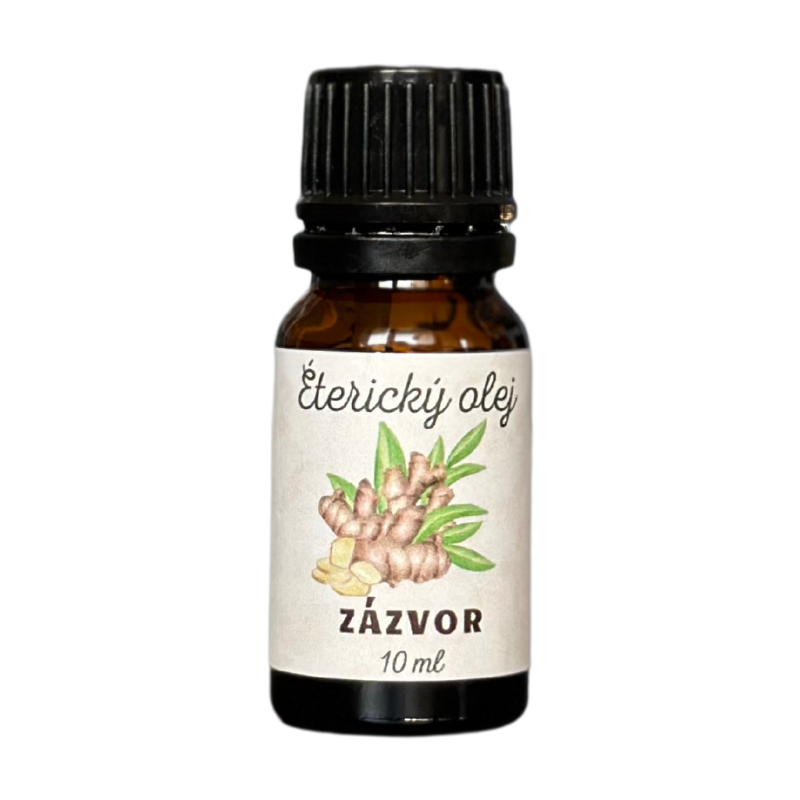 Zazvor